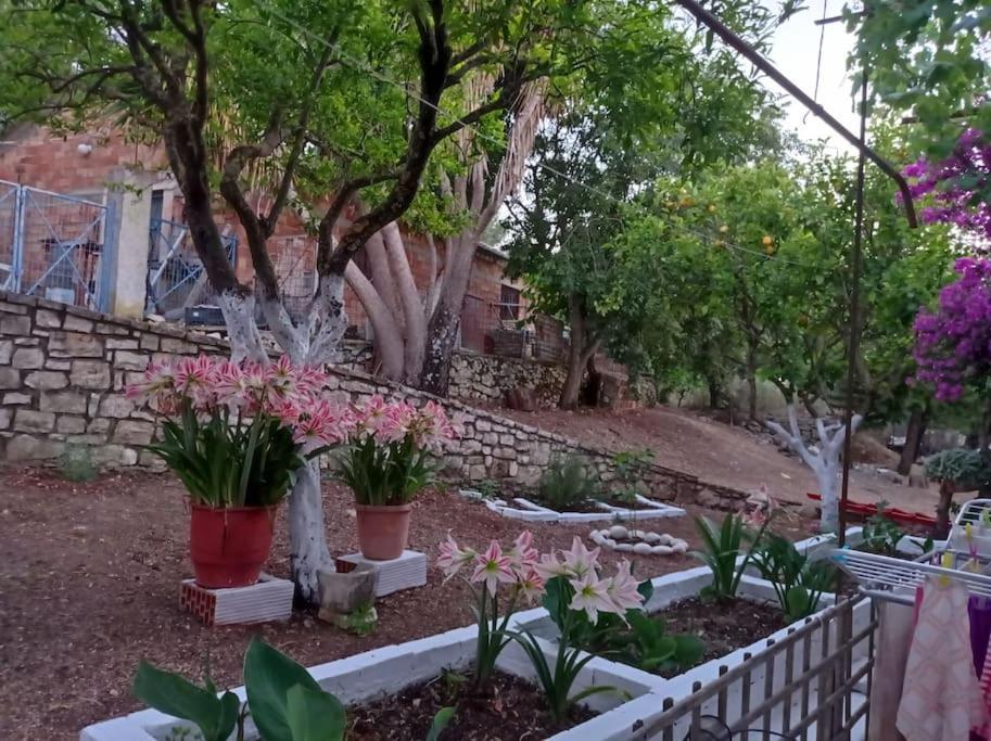 Villa Lidi Stavros  Exterior photo
