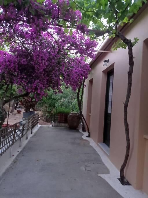 Villa Lidi Stavros  Exterior photo