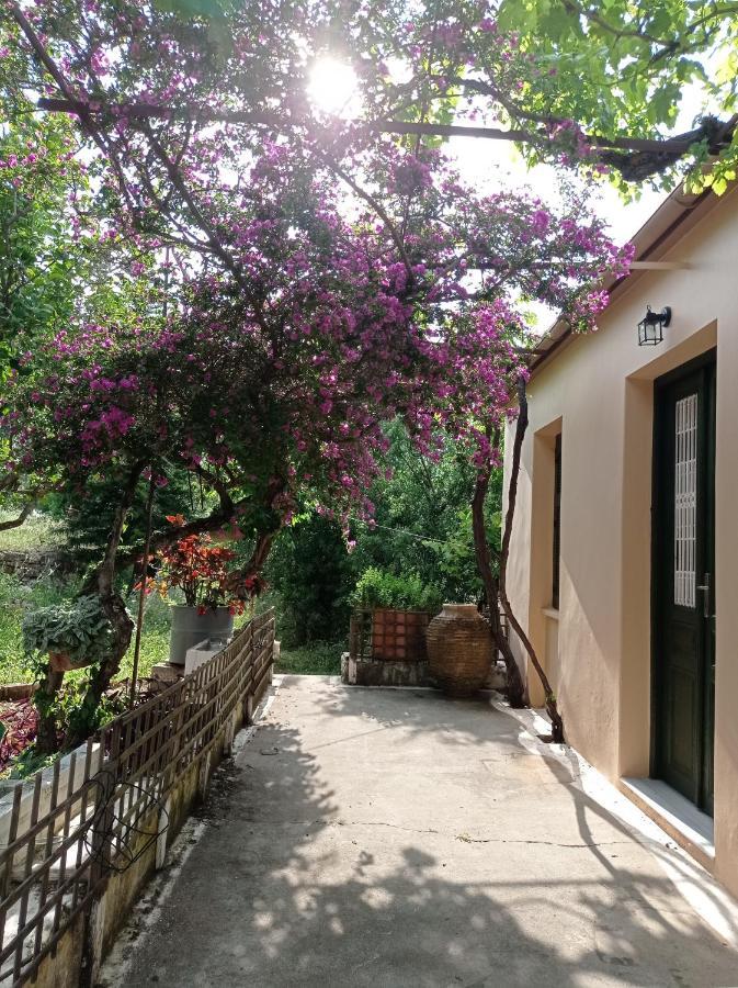Villa Lidi Stavros  Exterior photo